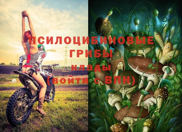соль курить ск Балабаново